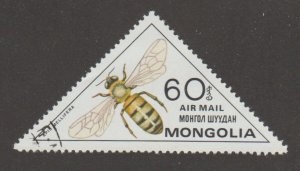 C133  Insect