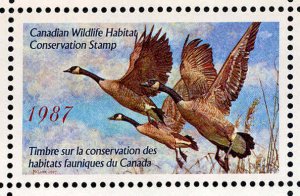 CANADA 1987 DUCK STAMP MINT IN FOLDER AS ISSUED CANADIAN GEESE by George McLean