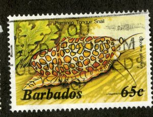 BARBADOS 653 USED SCV $3.25 BIN $1.25 MARINE LIFE