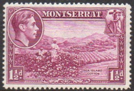 Montserrat 1942 1½d purple (P 14) MH