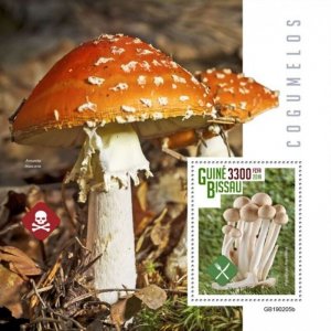 Guinea-Bissau - 2019 Mushrooms - Stamp Souvenir Sheet - GB190205b