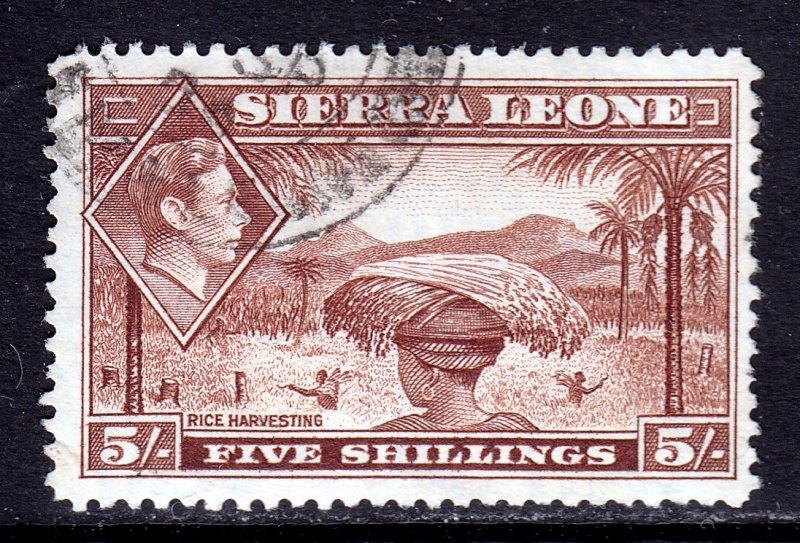 Sierra Leone - Scott #183 - Used - 2 pulled perfs at right - SCV $17