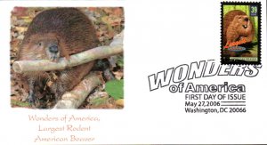 #4064 American Beaver Homespun FDC