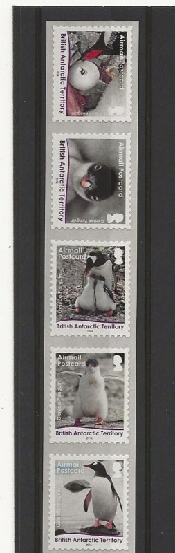 British Antarctic 2016 Gentoo Penguin 5 val s-adh strip  MNH 