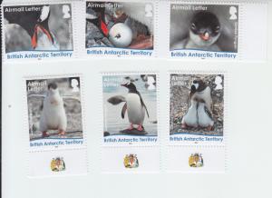 2016 British Antarctic BAT Gentoo Penguin Life Cycle (6) (Scott NA) MNH