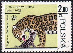 Poland 2304 - Cto - 2z Jaguar / Kitten (1978)