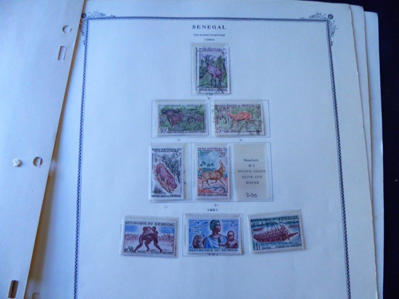 Senegal 1902-1960 Stamp Collection on Scott Specialty Alb Pgs
