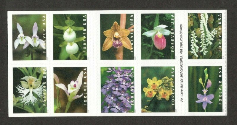 5445-54 (5454a) Wild Orchids US Block Of 10 Mint/nh FREE SHIPPING