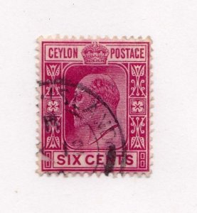 Ceylon         170         used