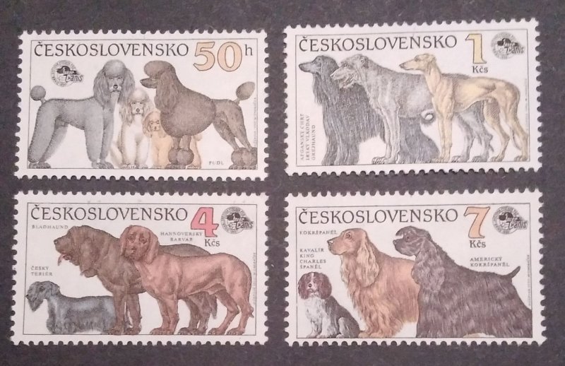 Dog show in Brno, mnh