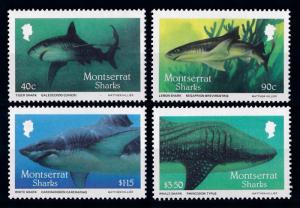 [64620] Montserrat 1987 Marine Life Sharks  MLH