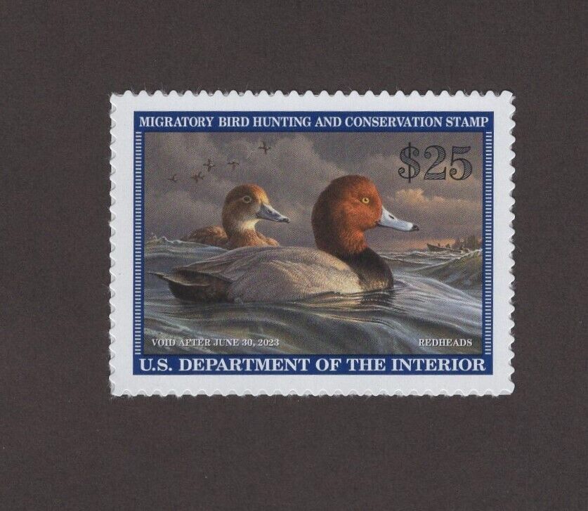 RW89 Federal Duck Stamp. Single. 02 RW89 United States, Duck