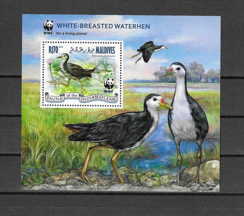 MALDIVES 2013 FAUNA OF THE INDIAN OCEAN SET MNH