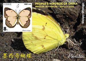 CHINA SHEET IMPERF CINDERELLA BUTTERFLIES INSECTS