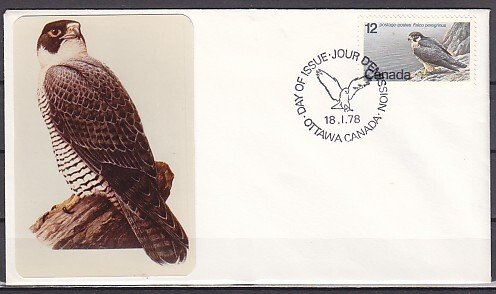 Canada, Scott cat. 752. Endangered Bird issue. First day cover. ^