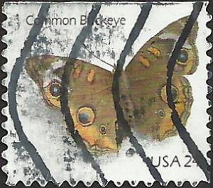 # 4001a USED COMMON BUCKEYE BUTTERFLY