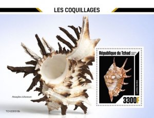 Chad - 2020 Spider Conch Seashell - Stamp Souvenir Sheet - TCH200518b