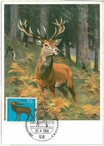 32188 - GERMANY - POSTAL HISTORY -- MAXIMUM CARD Deer HUNTING Animals, 1966