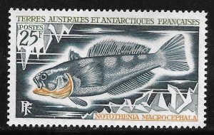 French Southern and Antarctic Territory - Scott #41 - VF - Unused (MH)