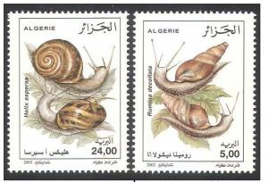 Algeria 2003 Snails Marine life Animal Nature Stamps MNH Sc 1280-81