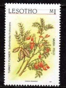 Lesotho - #588 Turkey Flower - MNH