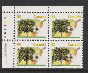 Canada PL BL Bartlett Pear 86