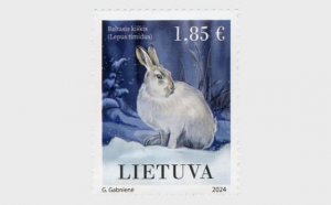 Lithuania / Litouwen - Postfris/MNH - Mountain Hare 2024