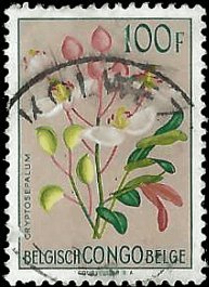 BELGIAN CONGO   #284 USED (2)