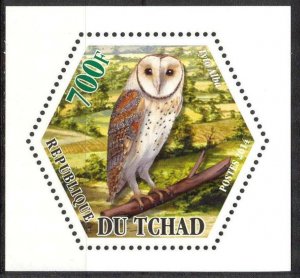 Chad 2014 Birds Owls (5) MNH Cinderella !