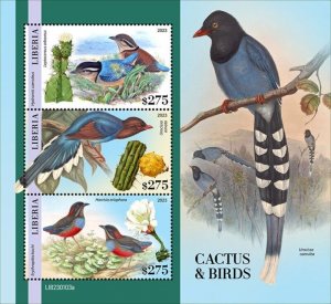 Liberia - 2023 Cactus and Birds, Whiskered Pitta - 3 Stamp Sheet - LIB230103a