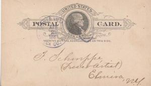 United States York Farmer Village Seneca Co. 1887 scarab  1865-1892  Postal C...