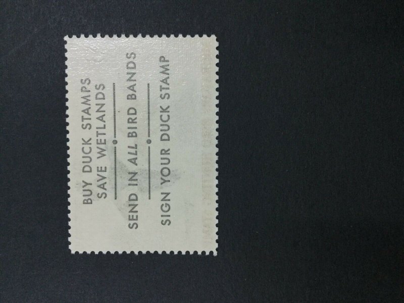 MOMEN: US #RW36 MINT OG **NH** POST OFFICE FRESH XF #31617