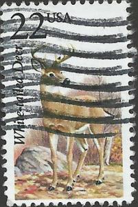 # 2317 USED WHITE-TAILED DEER