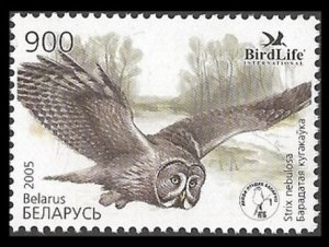 2005	Belarus	582	Bird of the year BirdLife