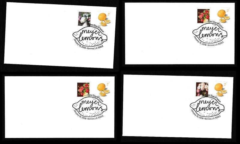 US 5256 Meyer Lemons Garden Flowers (set of 4) BWP FDC 2018