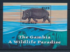[32048] Gambia 2001 Wild Animals Mammals Hippo MNH Sheet