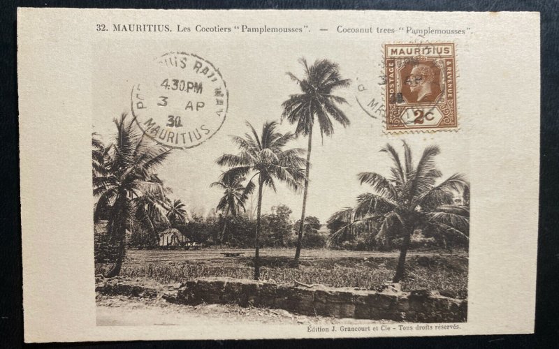 1930 Port Louis Railway TPO Mauritius Real Picture Postcard Cover Cocoanut Trees 