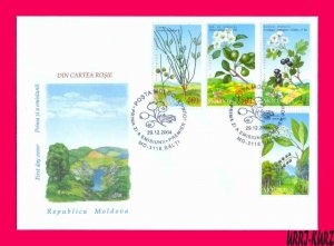 MOLDOVA 2004 Nature Flora Plants Flowers Berries Fruits Sc480-483 Mi501-504 FDC