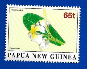 Papua New Guinea 1996 - MNH - Scott #909 *