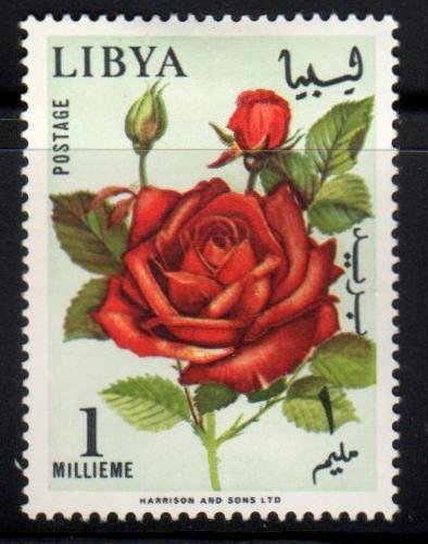 Libya Scott No. 284