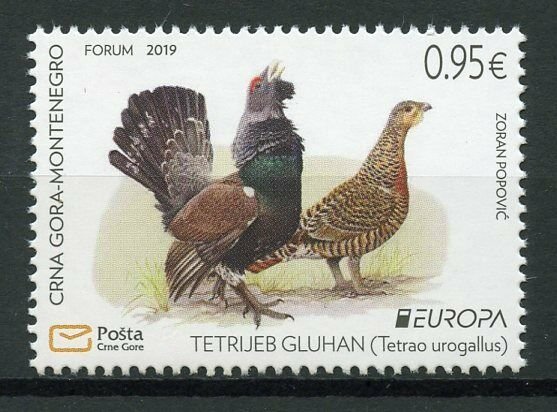 Montenegro 2019 MNH National Birds Europa Capercaillie 1v Set Stamps