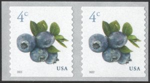 SC#5653 4¢ Blueberries Coil Pair (2022) SA