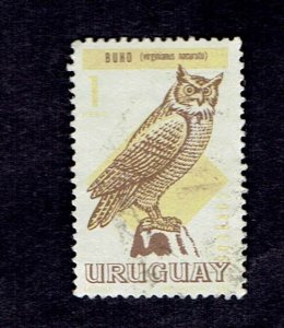 URUGUAY SCOTT#751 1968 1c BIRD GREAT HORNED OWL - USED