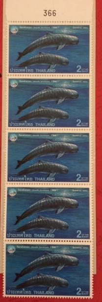 Thailand 1998 Marine Life Whales IYO Ocean Animal Stamps MNH