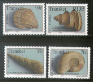 Transkei 1992 Fossils Sea Shell Marine Life Animals Sc 279-82 MNH # 2852