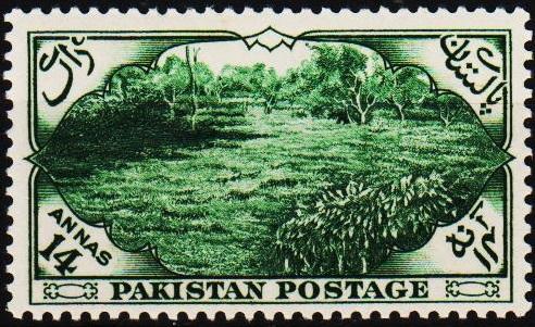 Pakistan. 1954 14a S.G.69 Unmounted Mint