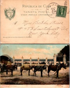 1909 Cuba (Boqueron) Picture Postcard to United States ( Postal History ), 1909