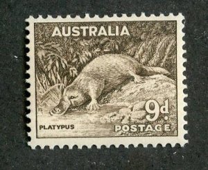 aus598 Australia sc #298 MNH (CV $17 )