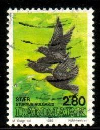 Bird, Starling, Sturnus Vulgaris, Denmark stamp SC#823b Used