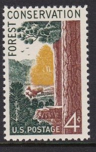 1122 Forest Conservation MNH